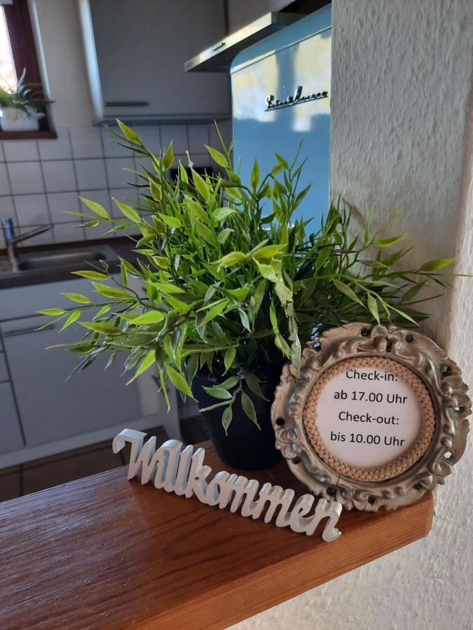 Schoene Einzimmer Wohnung Zwischen Bodensee Und Allgaeu Neukirch  Dış mekan fotoğraf