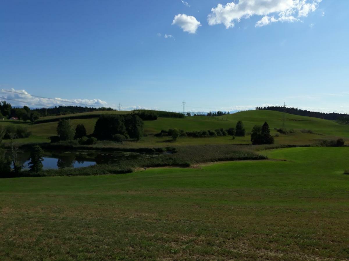 Schoene Einzimmer Wohnung Zwischen Bodensee Und Allgaeu Neukirch  Dış mekan fotoğraf
