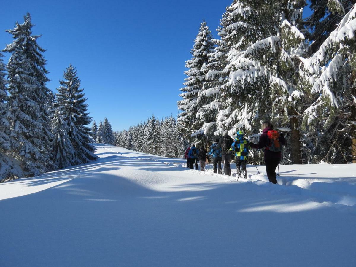 Schoene Einzimmer Wohnung Zwischen Bodensee Und Allgaeu Neukirch  Dış mekan fotoğraf